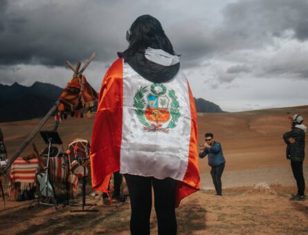 pexels-rodrigo-arrosquipa-15793209