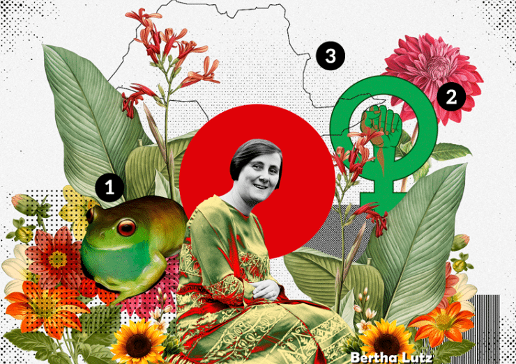 Ilustração: Márcio Button