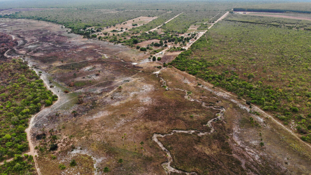 Capa Cerrado ‘Facil e ‘legal desmatamento no Cerrado bate recorde e avanca sem resistencia 2