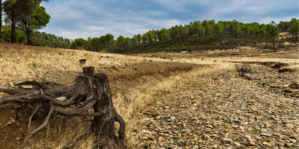 news america latina JUNHO