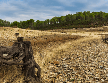 news america latina _JUNHO