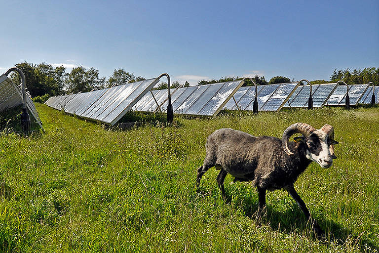The impact of climate negotiations on energy transition 2 1685846342647bf9463b34a 1685846342 3x2 md 2
