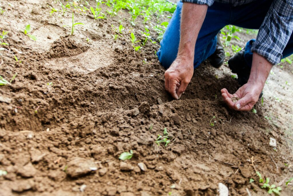 agricultura sustentavel