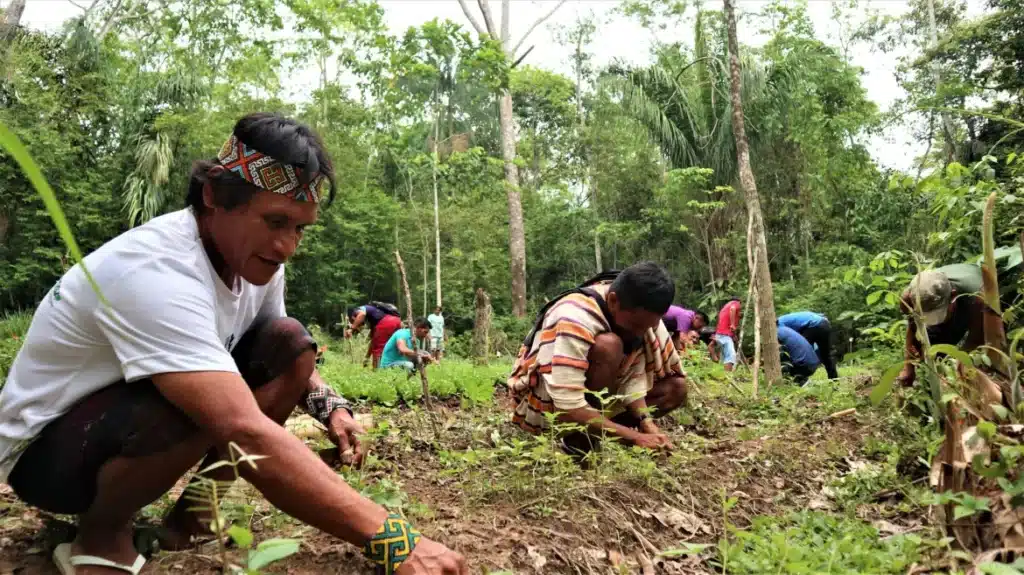 Las dos caras de la agricultura sostenible en América Latina 2 XXVI Curso de AAFIs Leilane Marinho 84 1 scaled 1